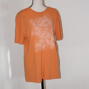 Express, graphic tee Lion tee shirt ....